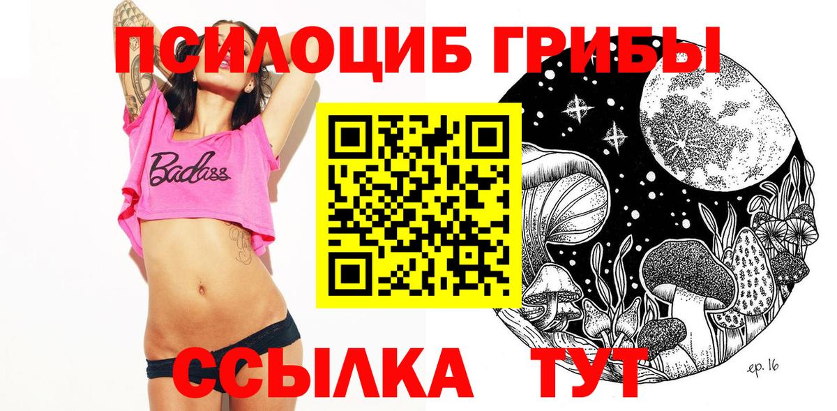 Псилоцибиновые грибы мицелий Зерноград