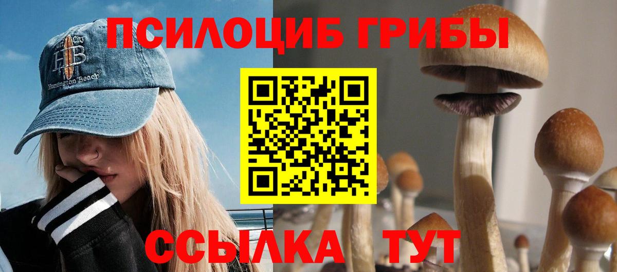 Галлюциногенные грибы MAGIC MUSHROOMS  Вход с VPN  Псилоцибиновые грибы Psilocybine cubensis  Зерноград 