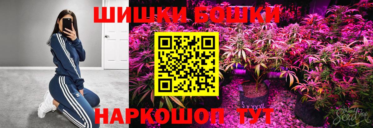 Конопля сатива Зерноград